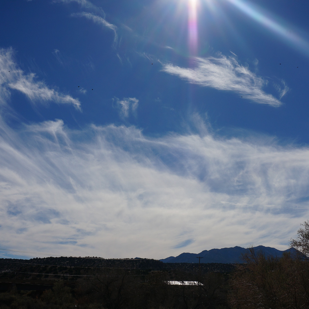DSC06615.jpg